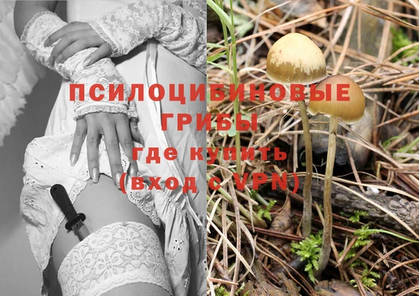 мяу мяу мука Балабаново