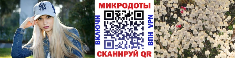 Псилоцибиновые грибы MAGIC MUSHROOMS  продажа наркотиков  Киров 
